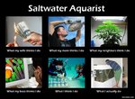 Saltwater-Aquarist-Meme_zps0bcb6549.jpg
