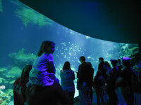 one-ocean-aquarium-daniel-ortiz-blog-426x320.jpeg