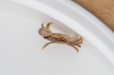 _DSC3282.JPG _DSC3282.JPG