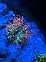 IMG_1572.jpeg