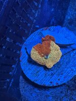 IMG_6792.jpeg