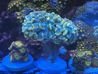 IMG_7162.jpeg