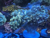 IMG_7164.jpeg