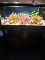 IMG_20260125_205358 (1).jpg IMG_20260125_205358 (1).jpg