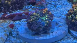 IMG_8779.jpeg