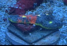 IMG_9228.jpeg