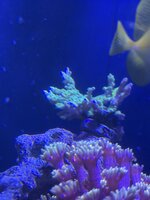 IMG_1816.jpeg