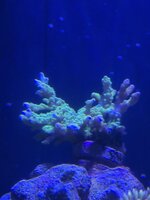 IMG_1814.jpeg