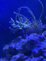 IMG_1815.jpeg