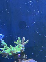 IMG_1827.jpeg