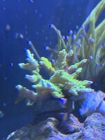 IMG_1826.jpeg