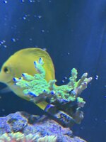 IMG_1825.jpeg