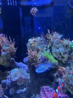 IMG_3235.jpg