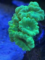 IMG_3206.jpg