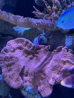 IMG_3215.jpg