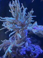 IMG_3213.jpg