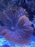 IMG_3207.jpg