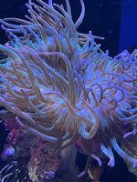 IMG_3212.jpg