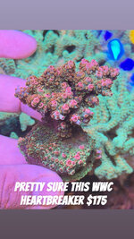 IMG_9880.jpeg