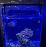 IMG_0897.jpeg