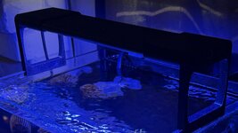 IMG_0898.jpeg