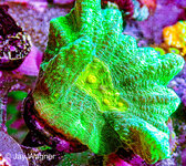IMG_7099.jpeg