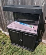 QT lid down.jpg