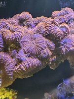 20260917_213136.jpg