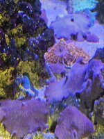 20260917_213159.jpg
