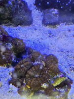 20260917_213316.jpg