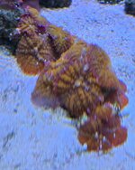 20260919_183211.jpg