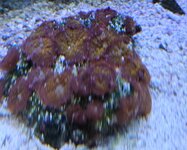 20260919_183204.jpg