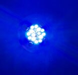 IMG_1524.jpeg