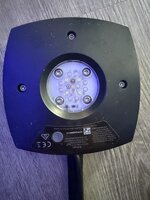 IMG_1523.jpeg