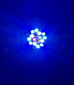 IMG_1525.jpeg