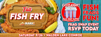 Fish Fry 960x350 NEW.jpg