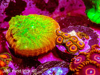 IMG_7302.jpeg