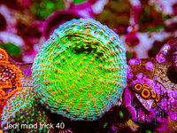 IMG_7300.jpeg
