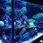 freeswimmingfish