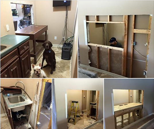 FishRoomConstruction6-1-15.PNG